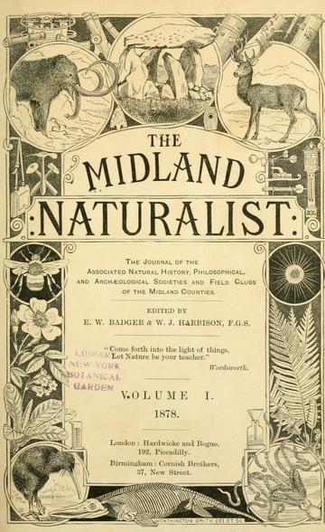 midland naturalist