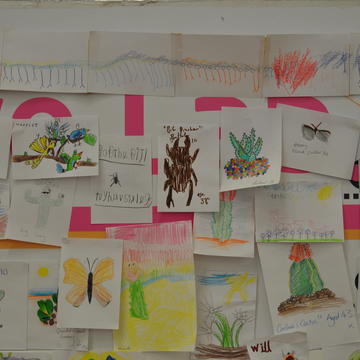 Photograph of drawings from the event