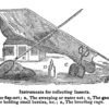 Nineteenth-century engraving of an instrument for collecting insects