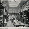 Royal Free Hospital, London: the interior of the museum in the pathological block. Process print, 1913. (Wellcome Collection)